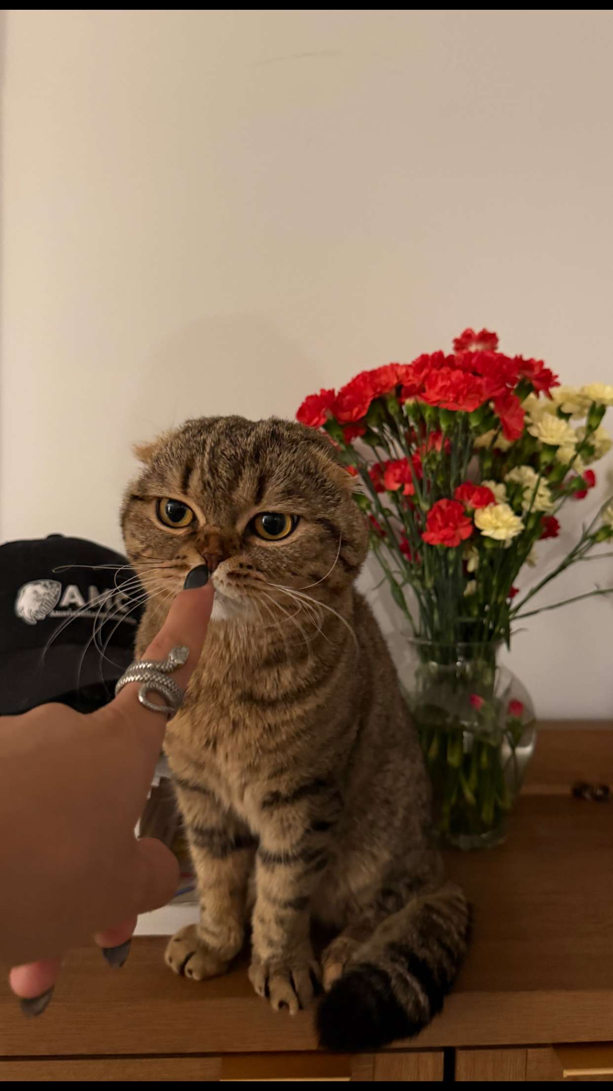 emelye.ender snapchat image archive image