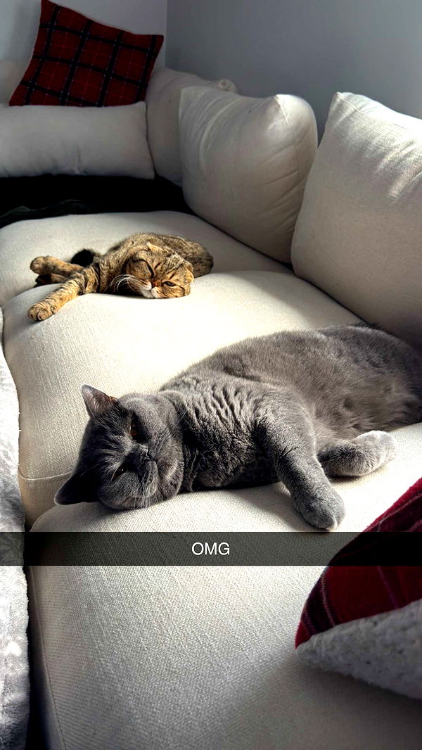 emelye.ender image ~ Altpins