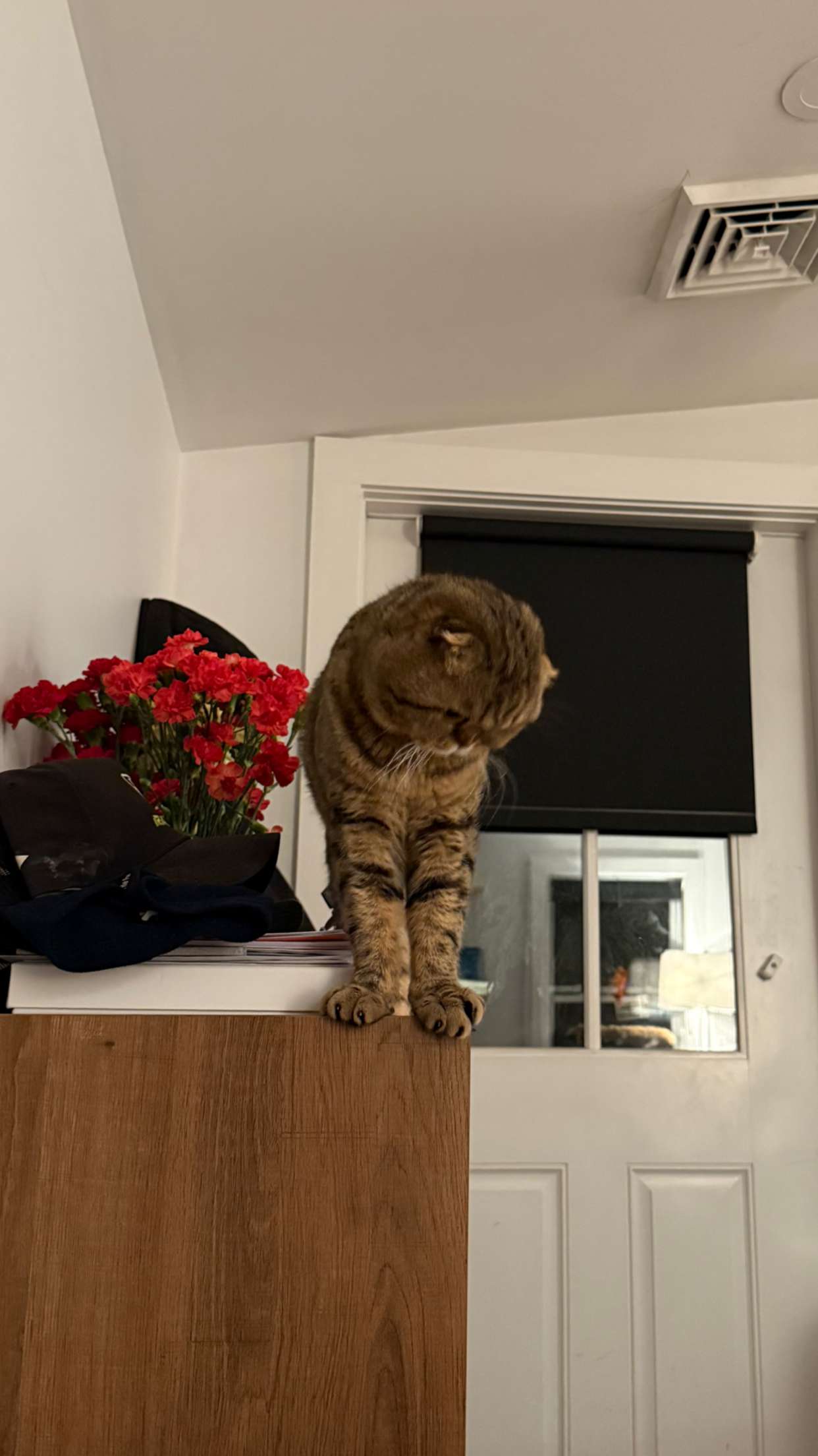 emelye.ender snapchat image archive image