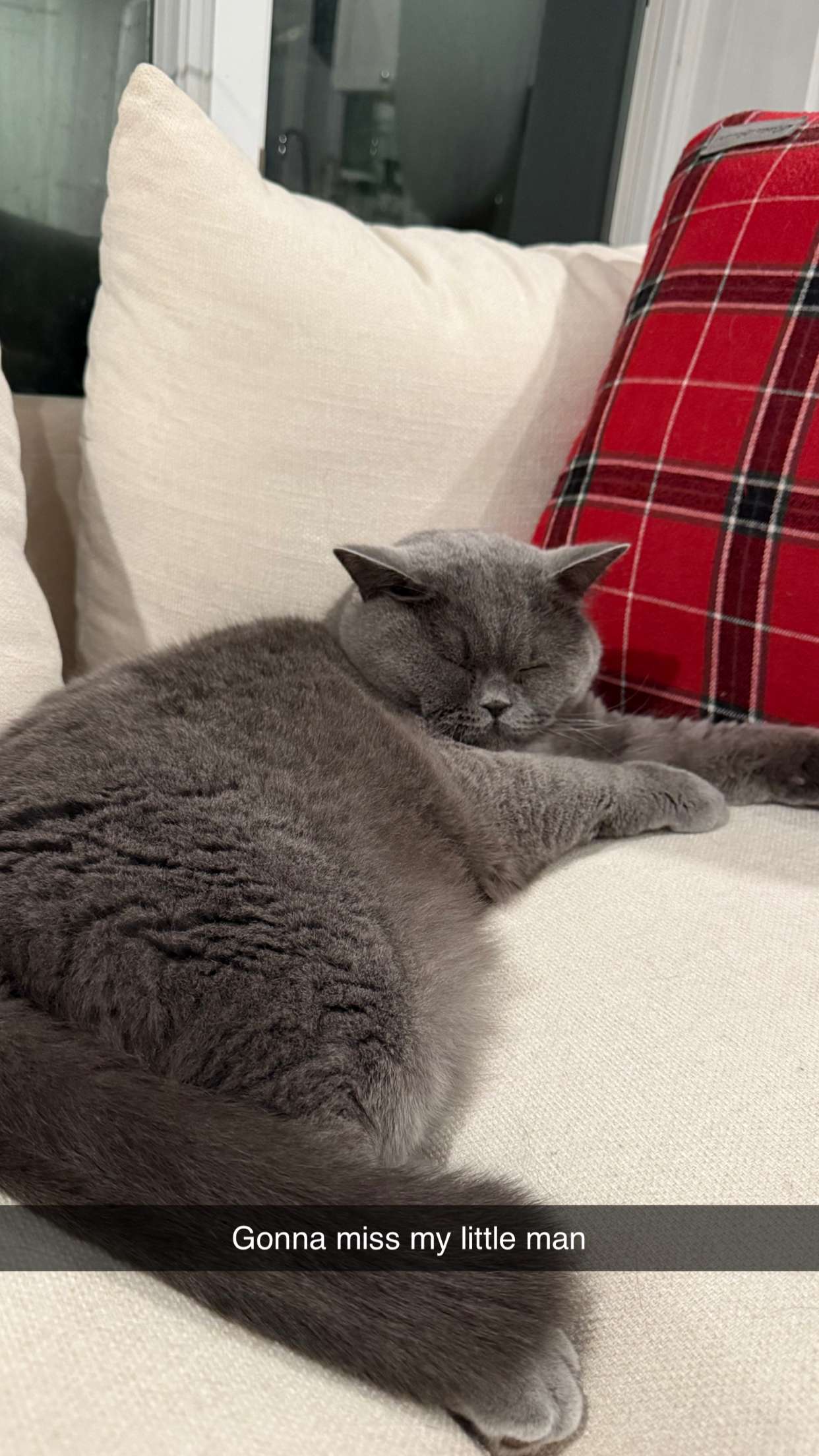 emelye.ender snapchat image archive image