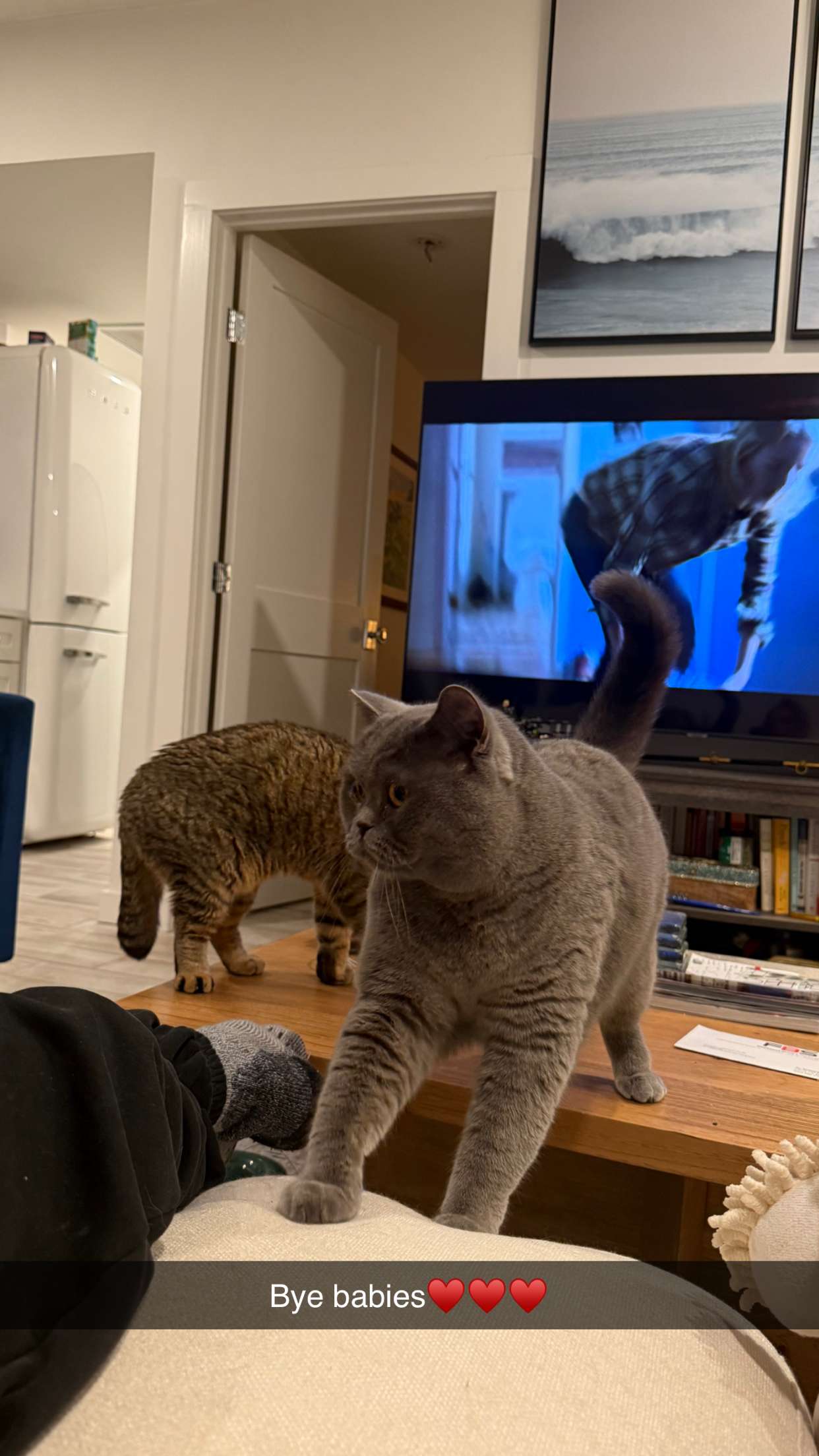 emelye.ender snapchat image archive image