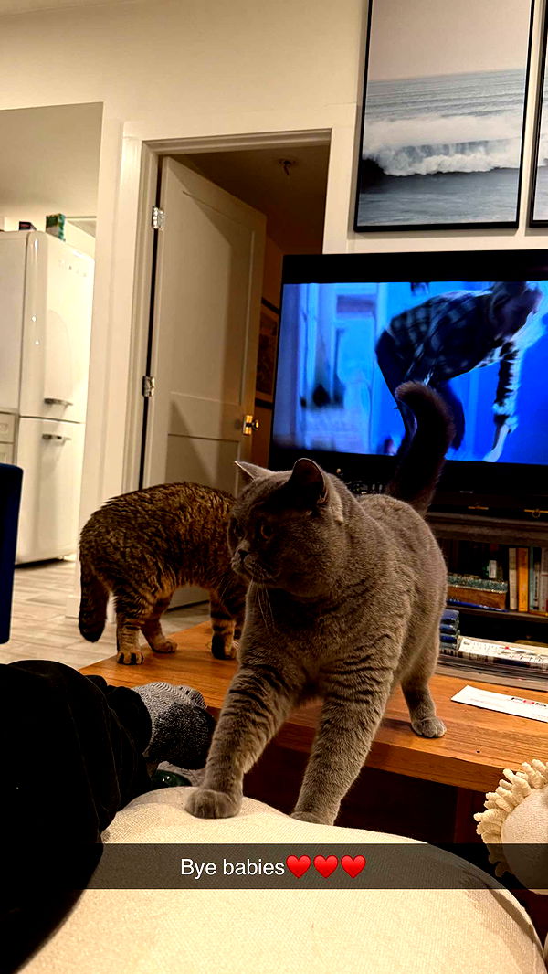 emelye.ender image ~ Altpins