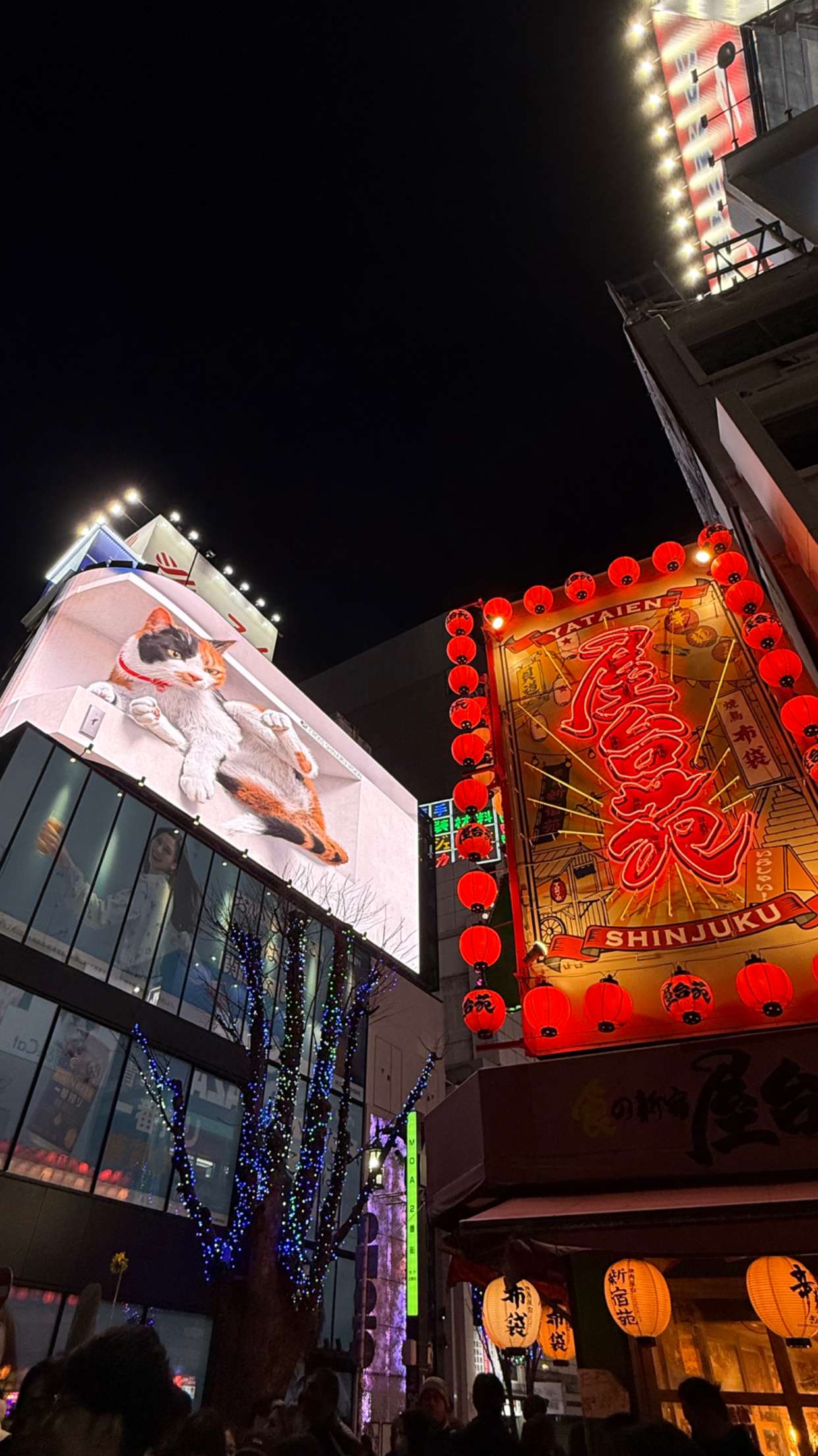 emelye.ender snapchat image archive image