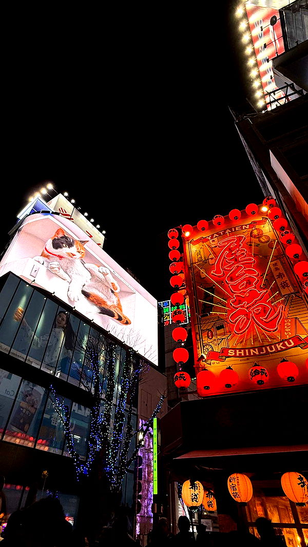 emelye.ender image ~ Altpins