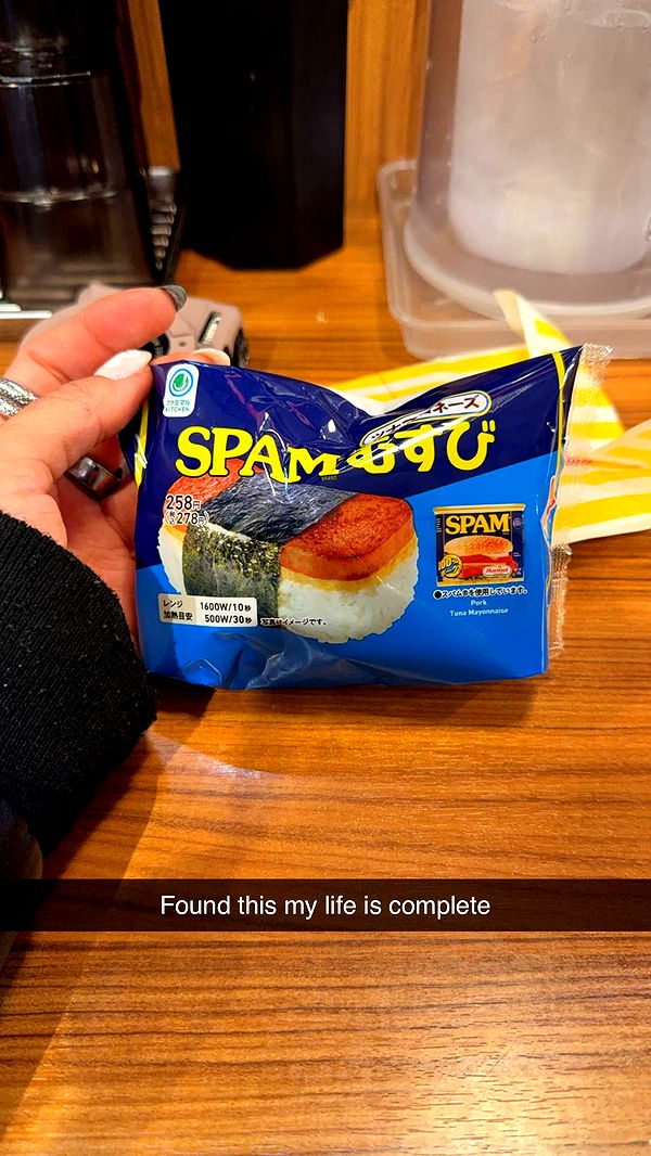 emelye.ender image ~ Altpins