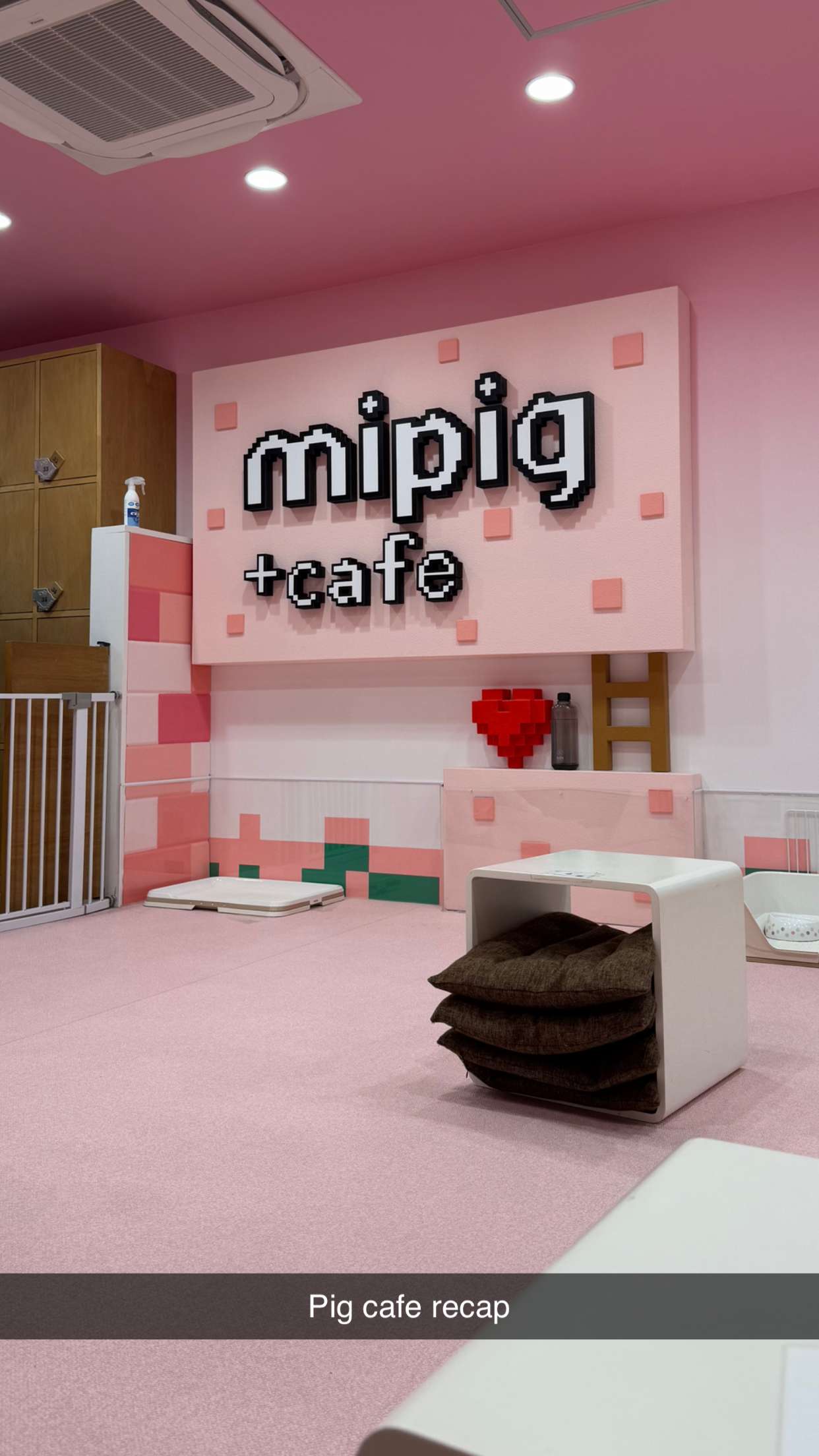 emelye.ender snapchat image archive image