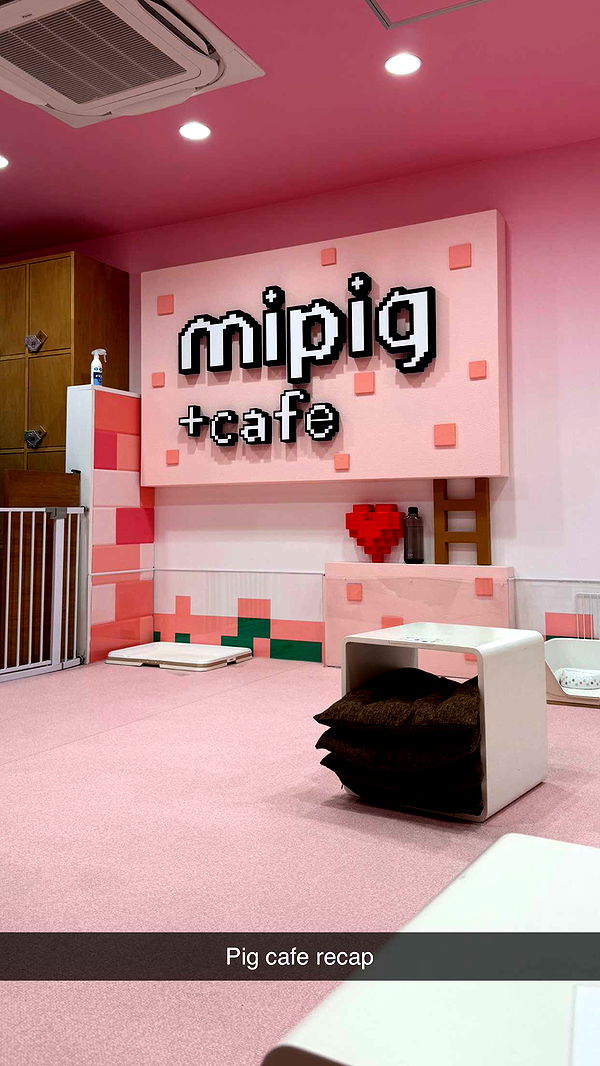 emelye.ender image ~ Altpins