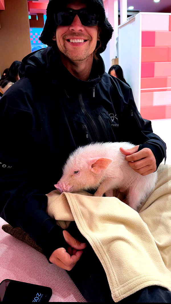 emelye.ender image ~ Altpins