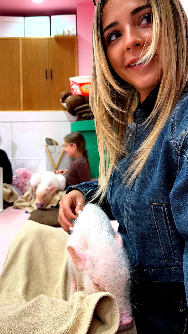 emelye.ender image ~ Altpins