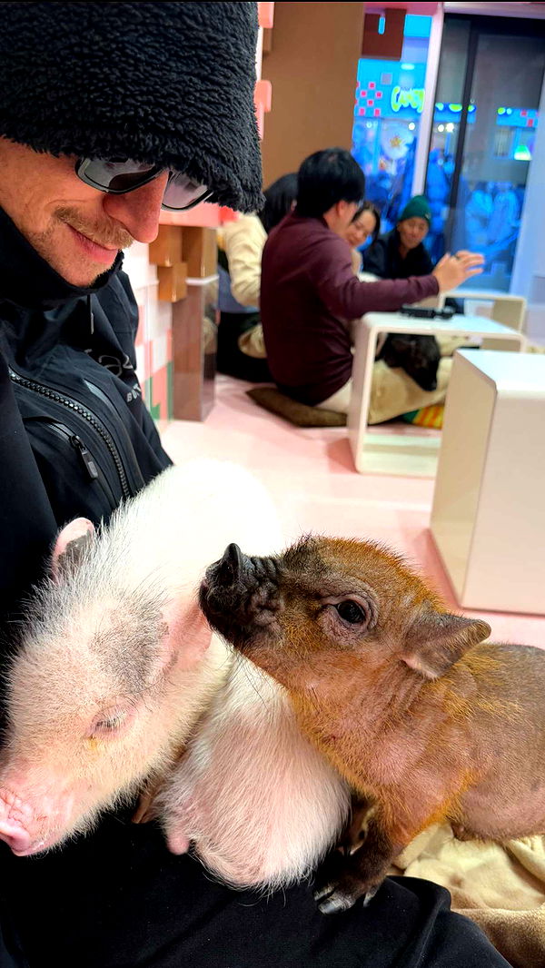 emelye.ender image ~ Altpins