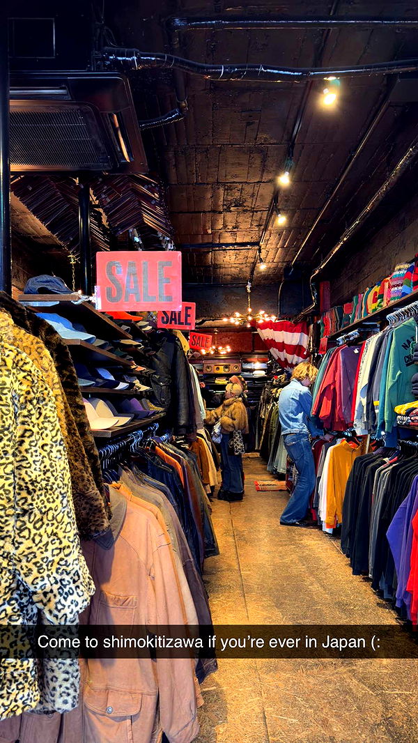 emelye.ender image ~ Altpins