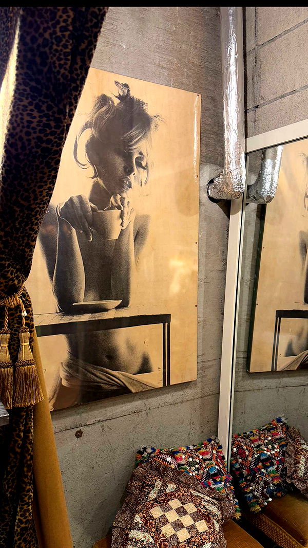 emelye.ender image ~ Altpins