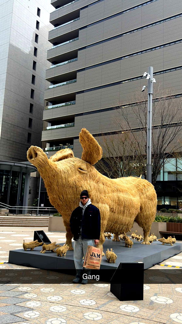 emelye.ender image ~ Altpins