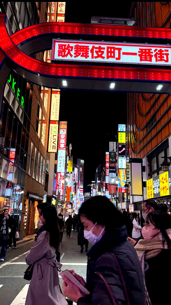 emelye.ender image ~ Altpins