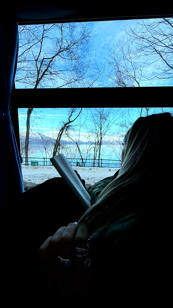 emelye.ender image ~ Altpins