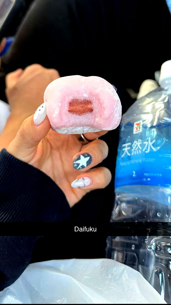 emelye.ender image ~ Altpins