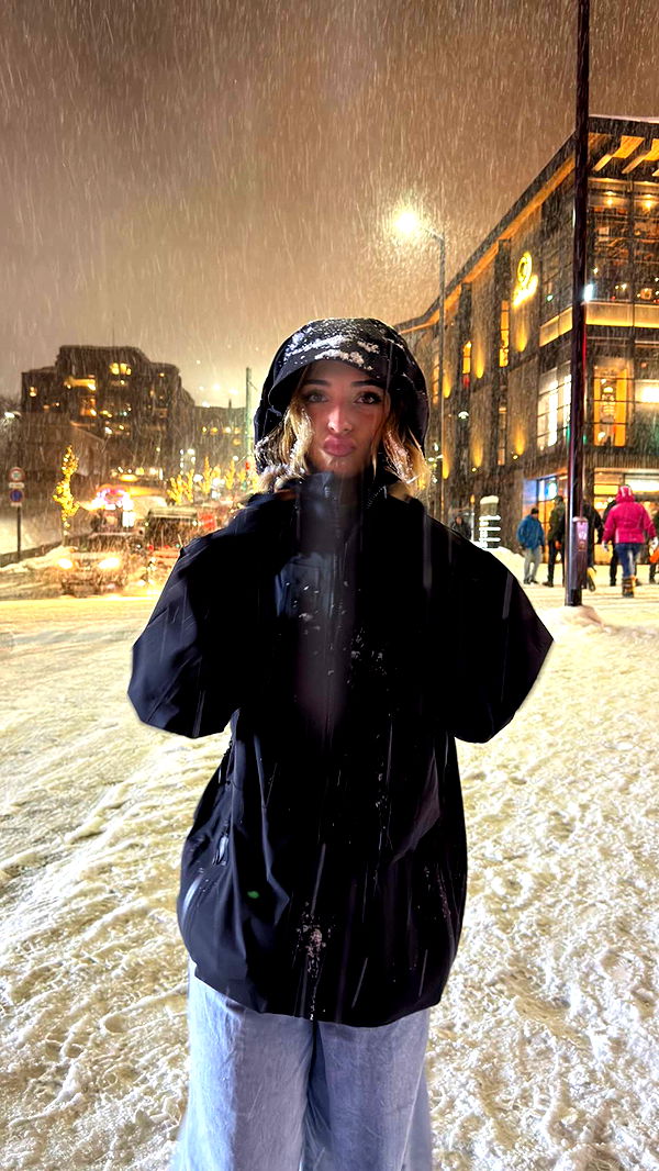 emelye.ender image ~ Altpins