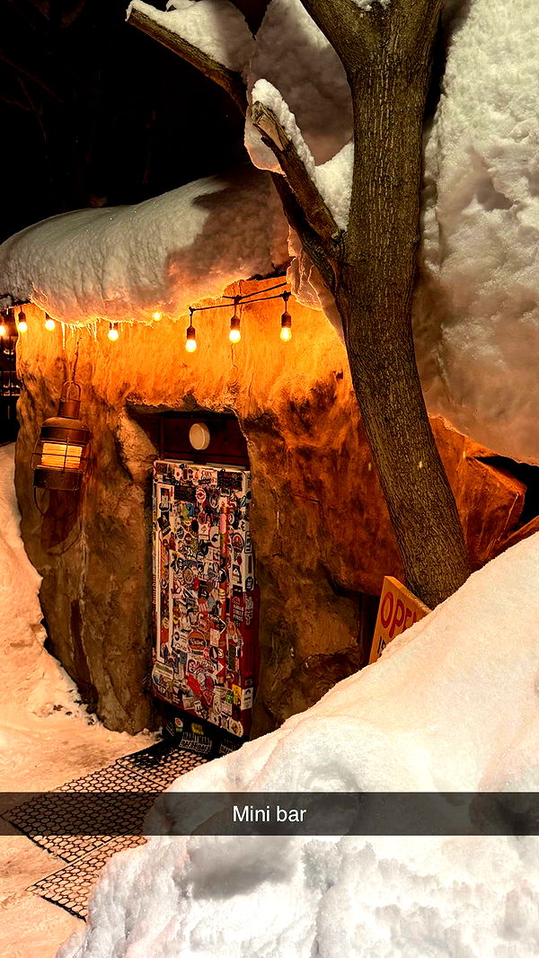 emelye.ender image ~ Altpins