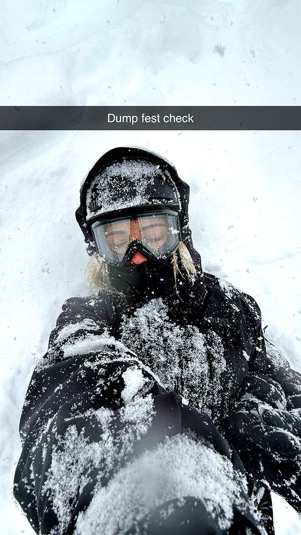 emelye.ender image ~ Altpins