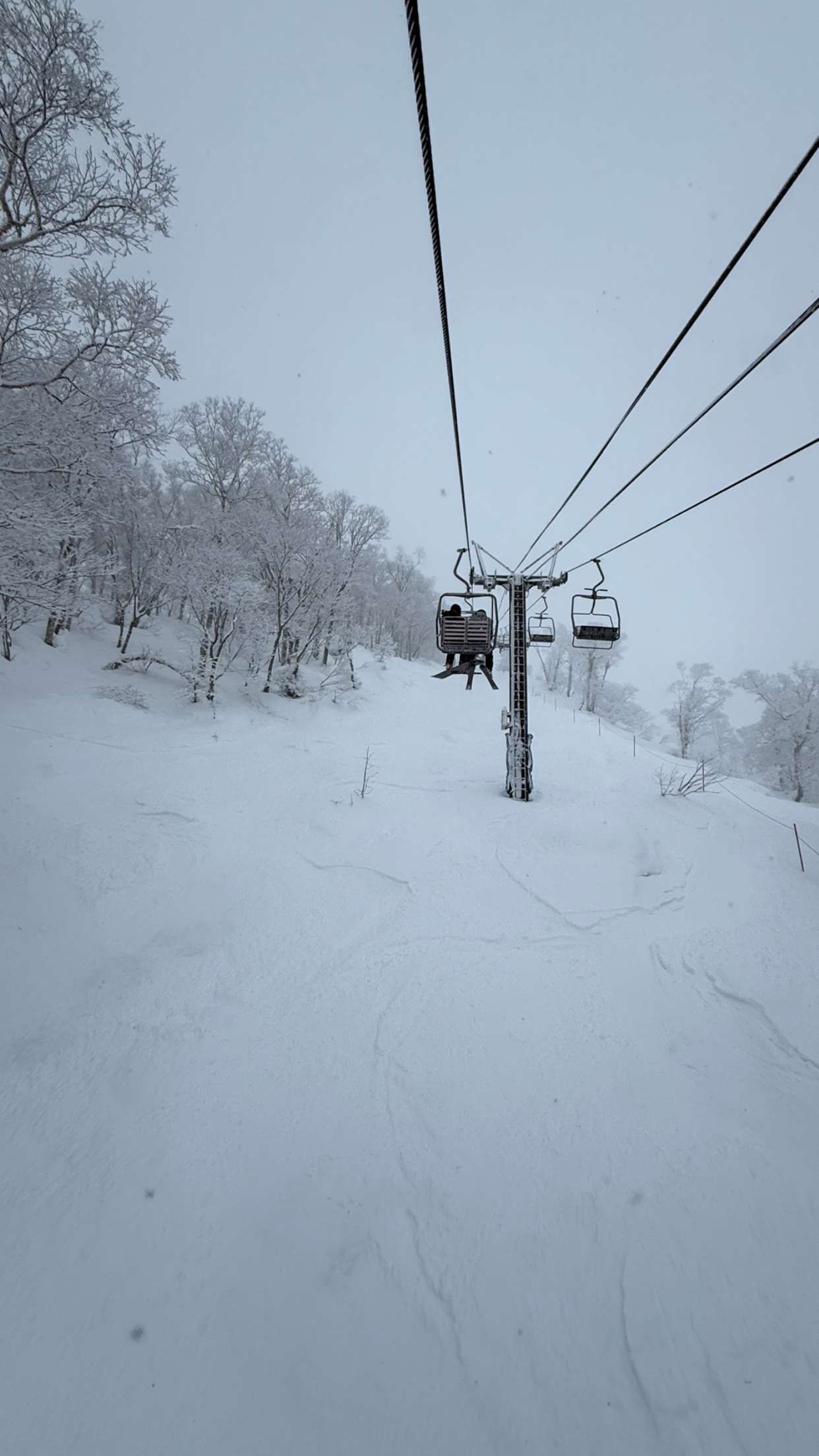 emelye.ender snapchat image archive image