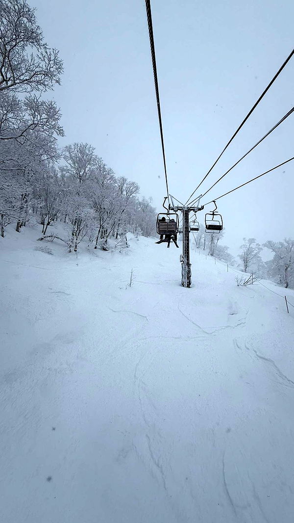 emelye.ender image ~ Altpins