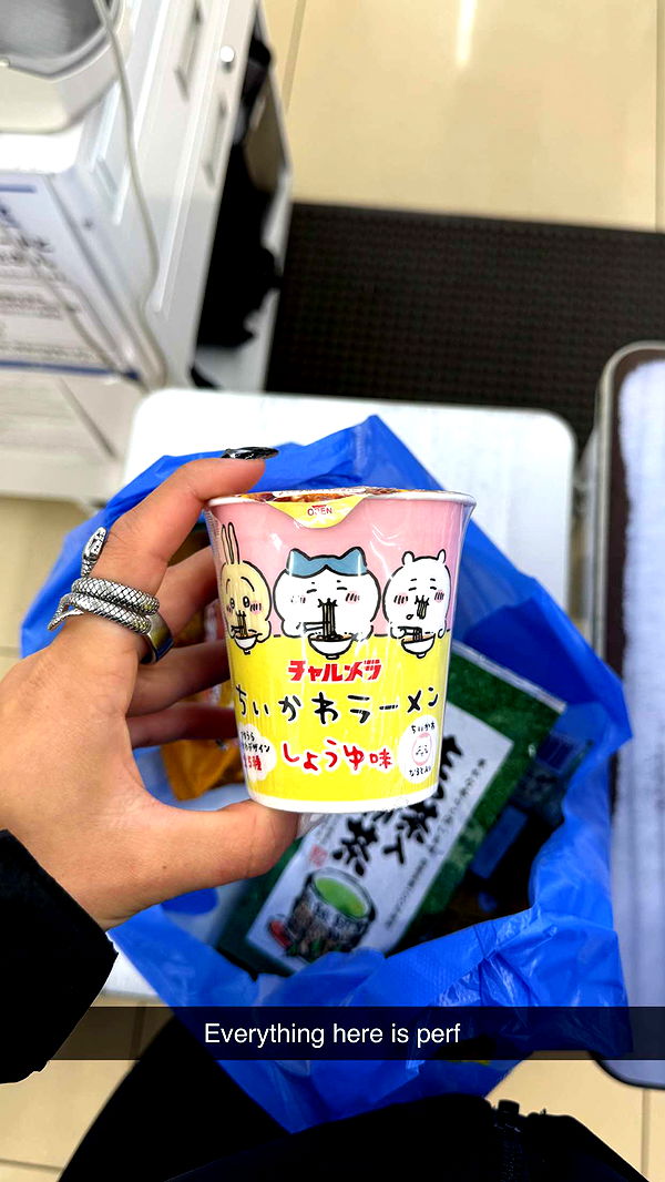 emelye.ender image ~ Altpins