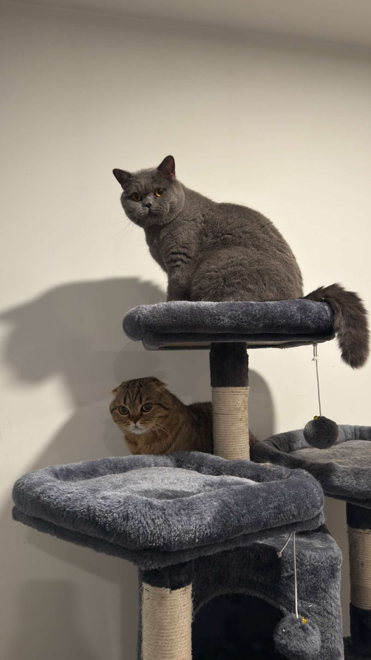 emelye.ender snapchat image archive image