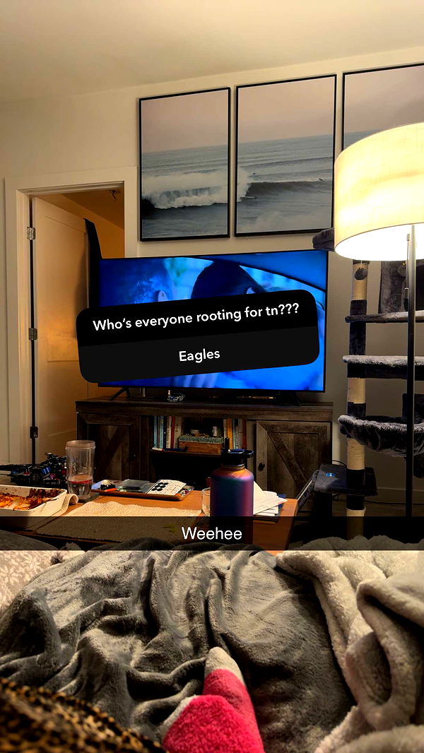 emelye.ender image ~ Altpins