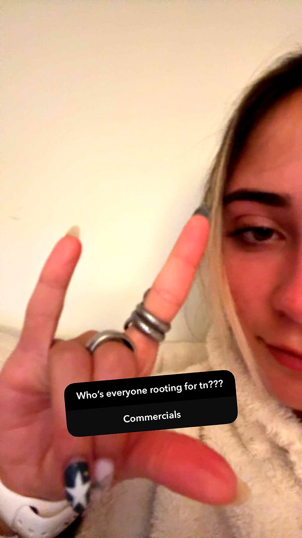 emelye.ender image ~ Altpins