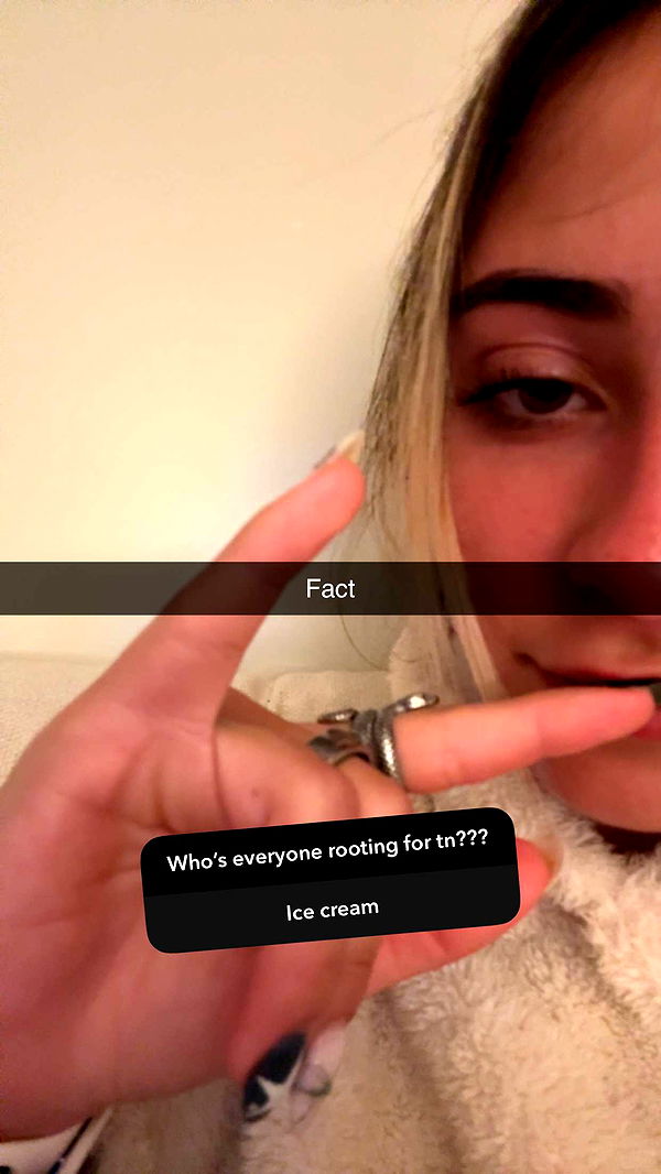 emelye.ender image ~ Altpins