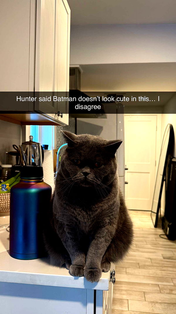 emelye.ender image ~ Altpins