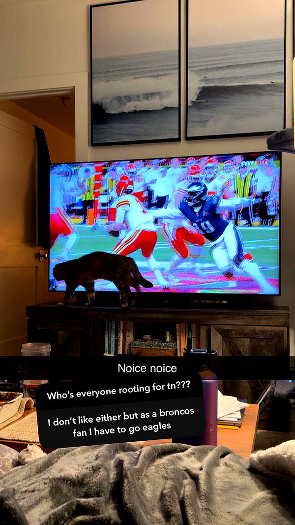 emelye.ender image ~ Altpins