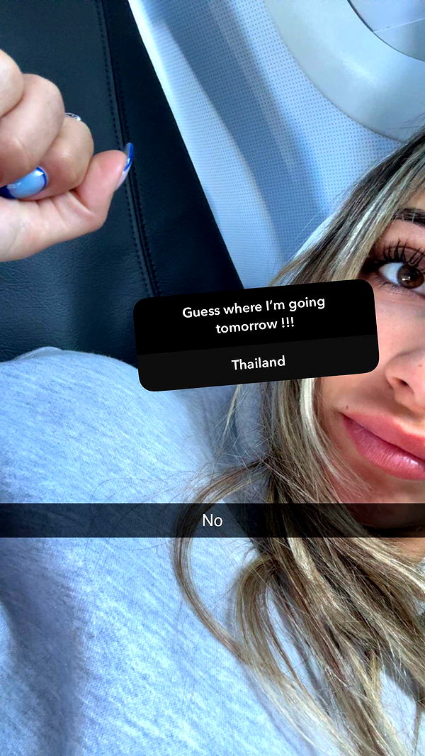 emelye.ender image ~ Altpins