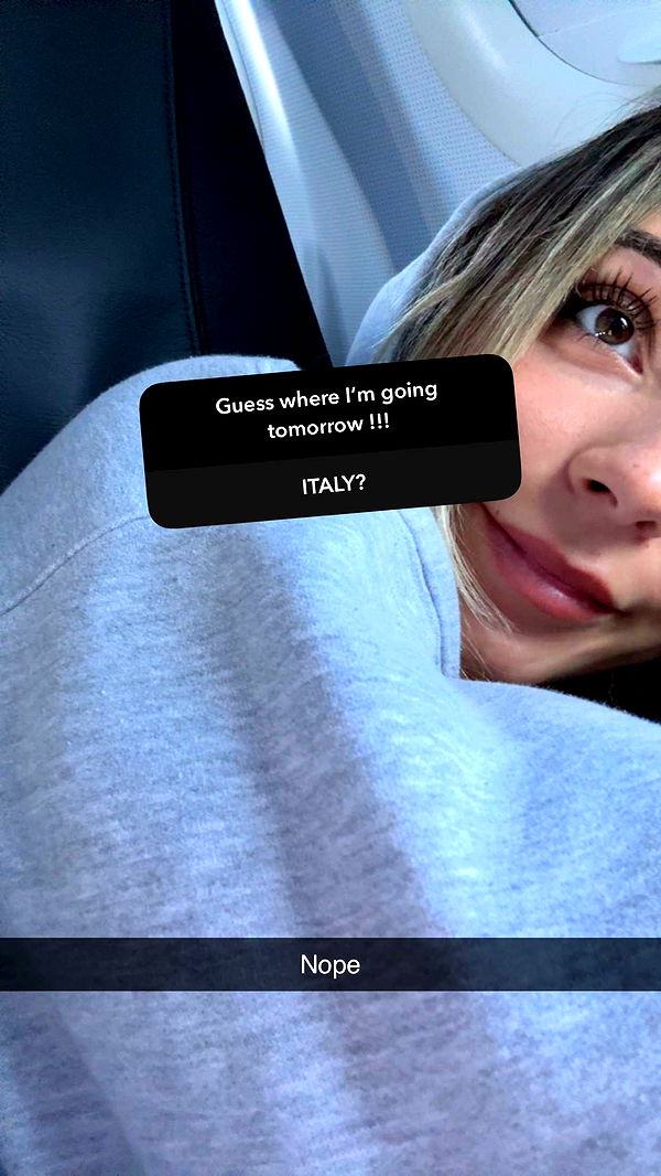 emelye.ender image ~ Altpins