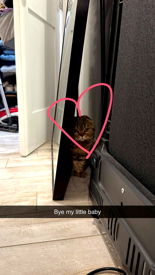 emelye.ender image ~ Altpins