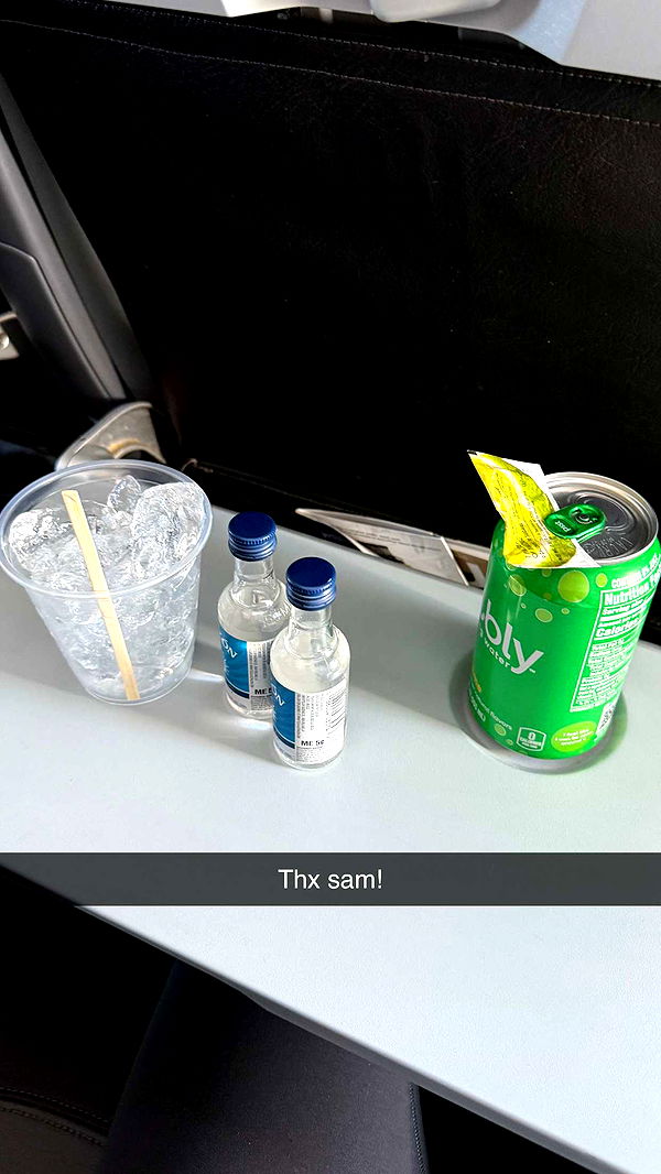 emelye.ender image ~ Altpins