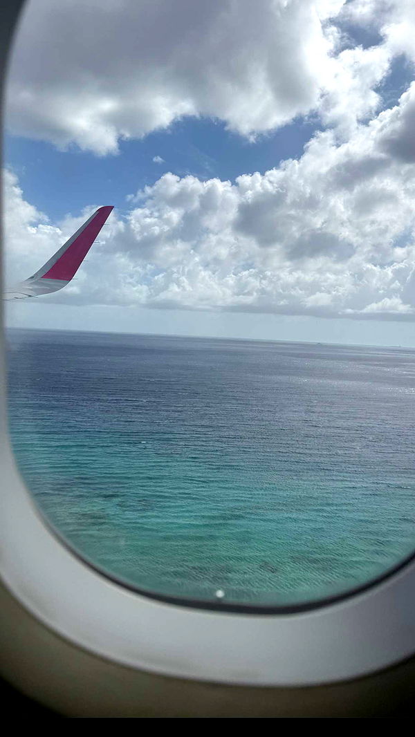 emelye.ender image ~ Altpins