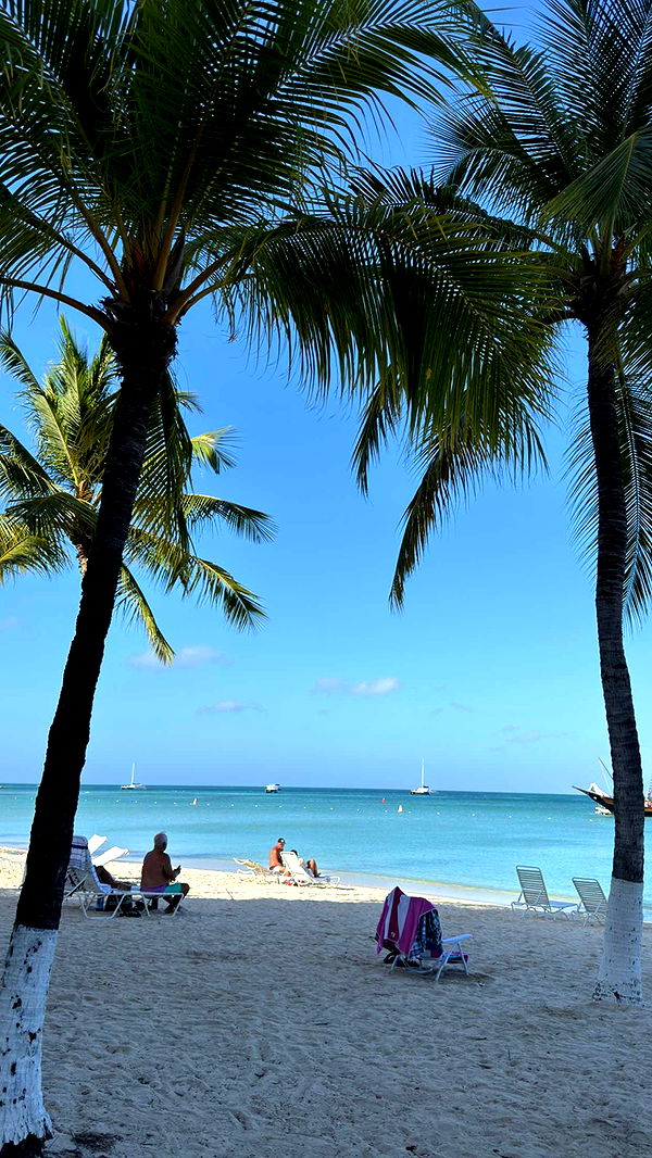 emelye.ender image ~ Altpins