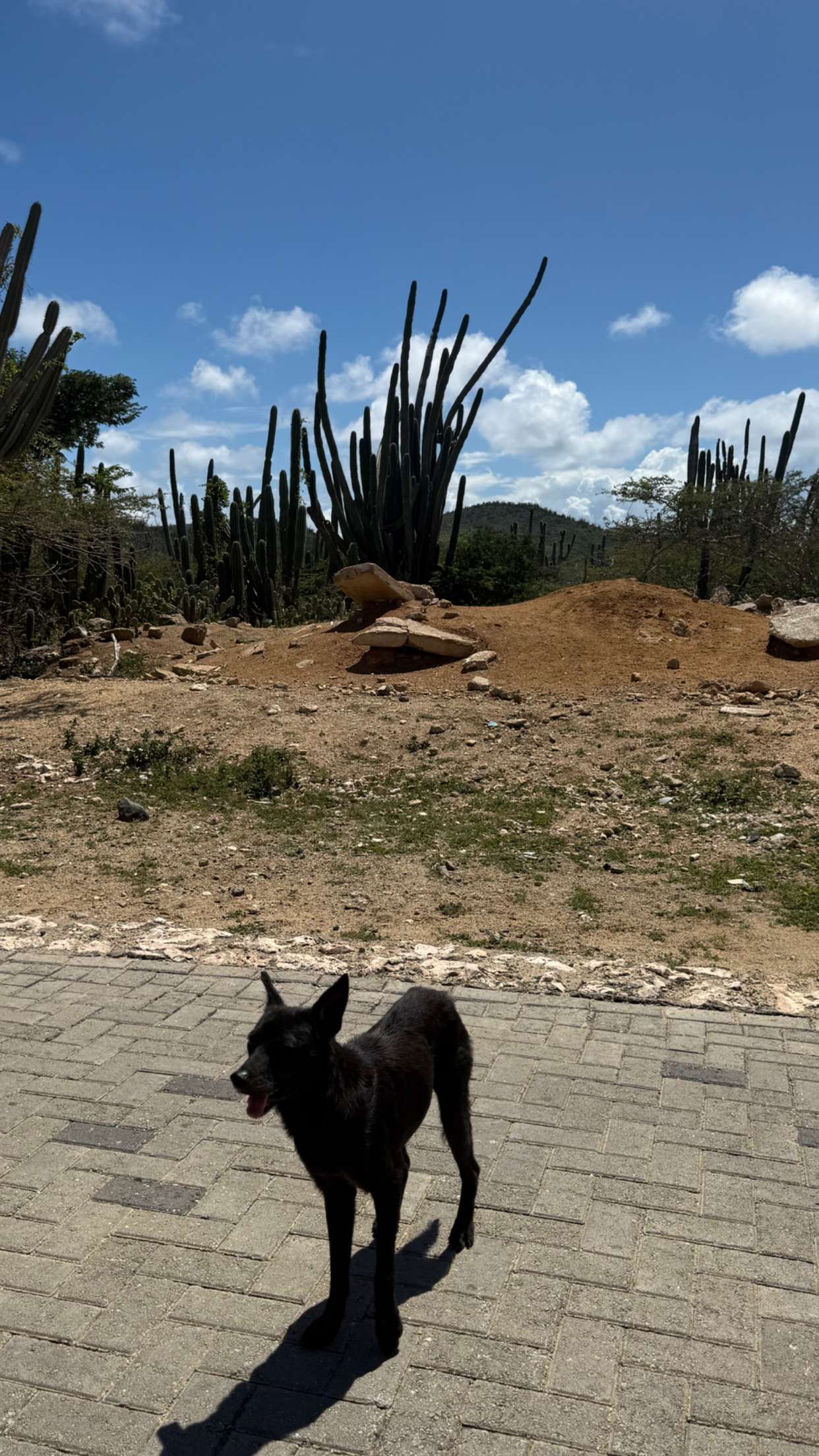 emelye.ender snapchat image archive image