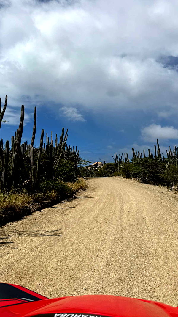 emelye.ender image ~ Altpins