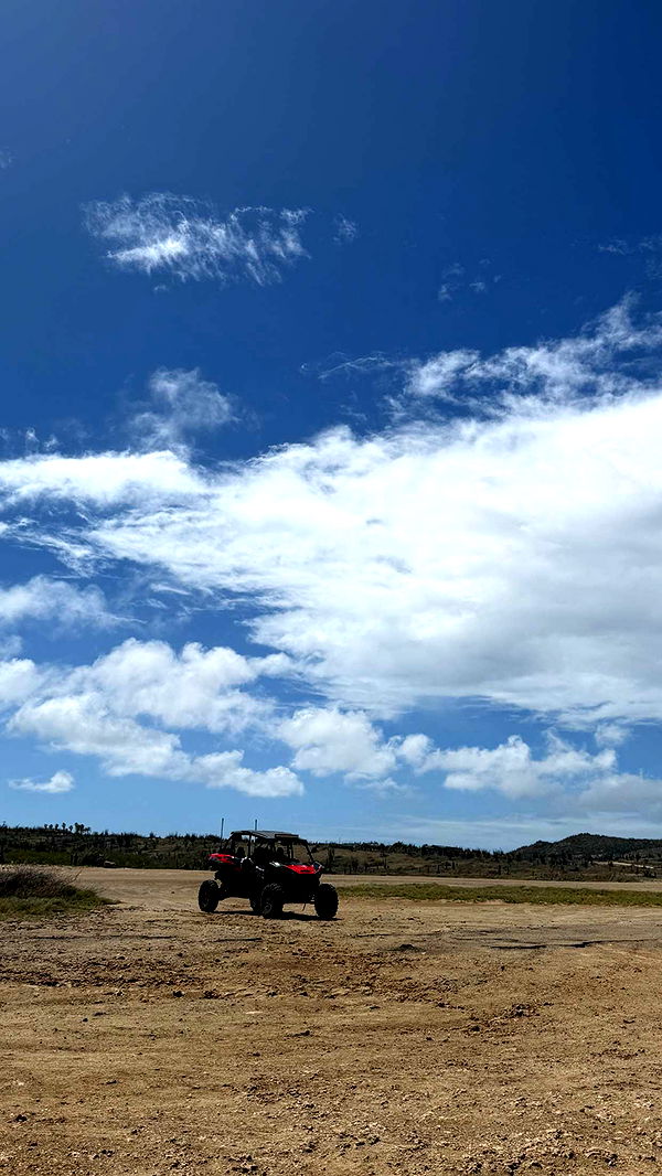 emelye.ender image ~ Altpins