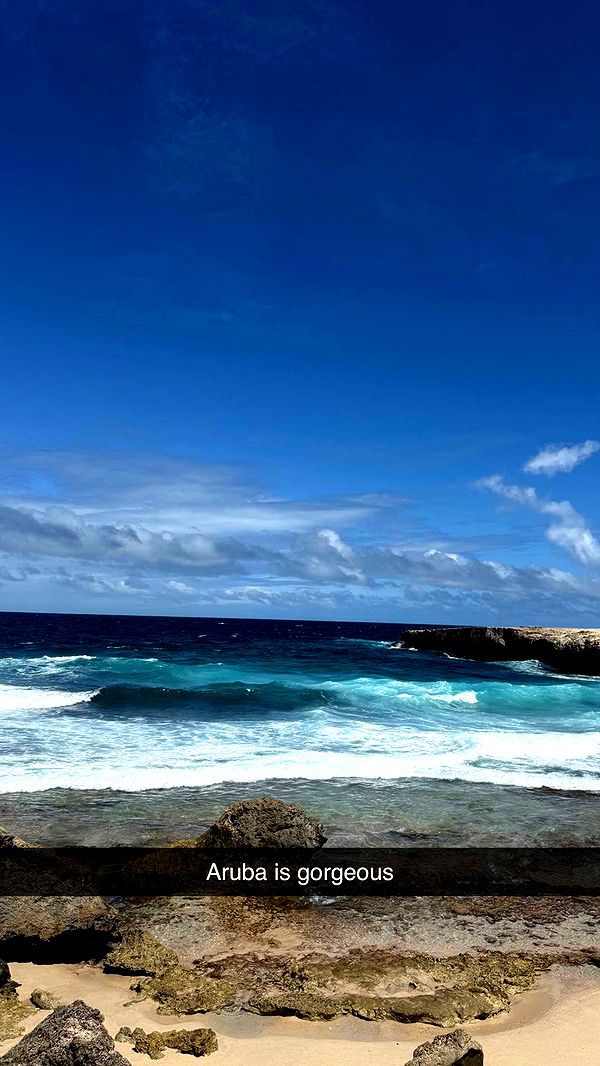 emelye.ender image ~ Altpins