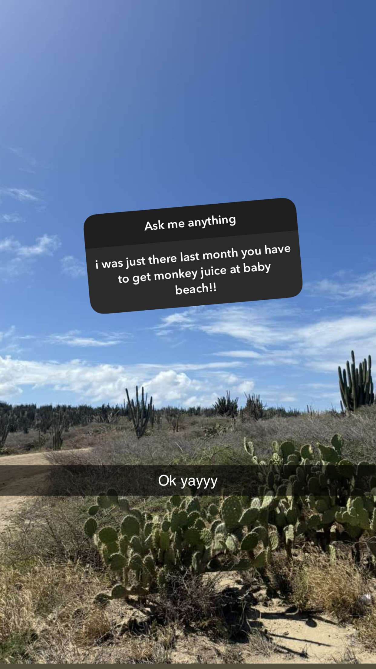 emelye.ender snapchat image archive image