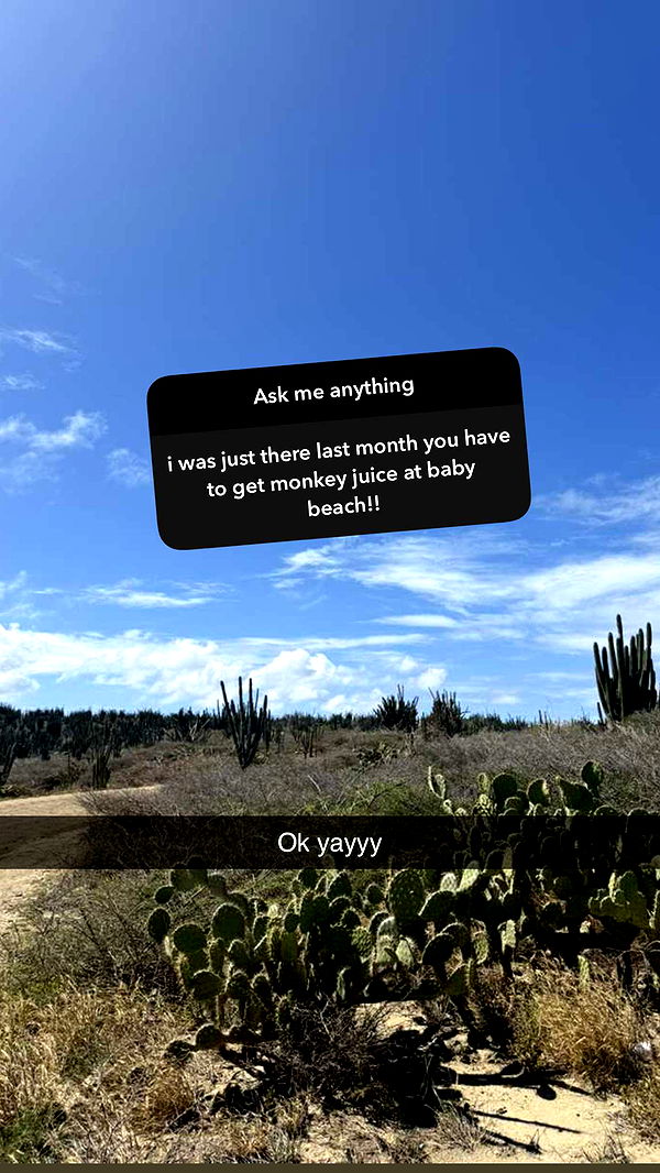 emelye.ender image ~ Altpins