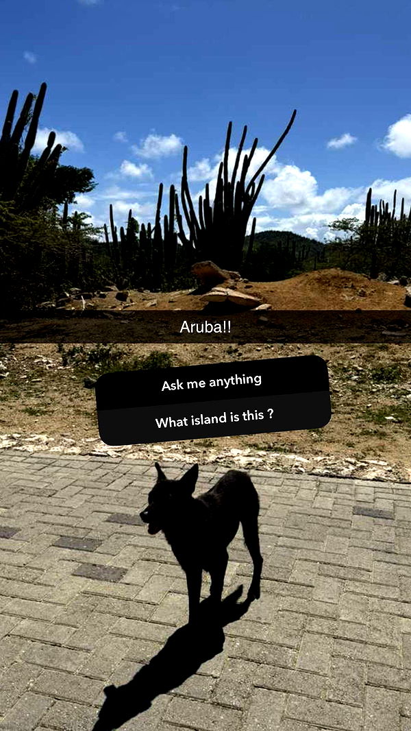 emelye.ender image ~ Altpins