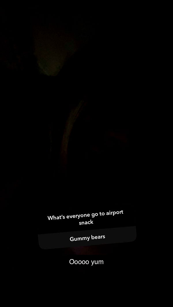 emelye.ender image ~ Altpins