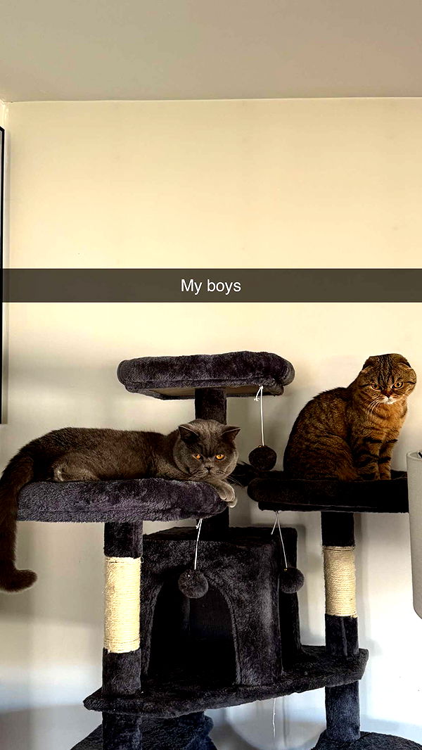 emelye.ender image ~ Altpins