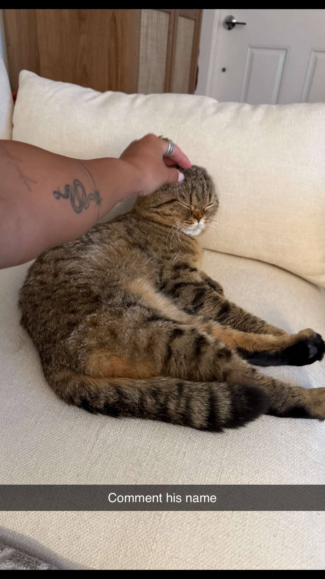 emelye.ender snapchat image archive image