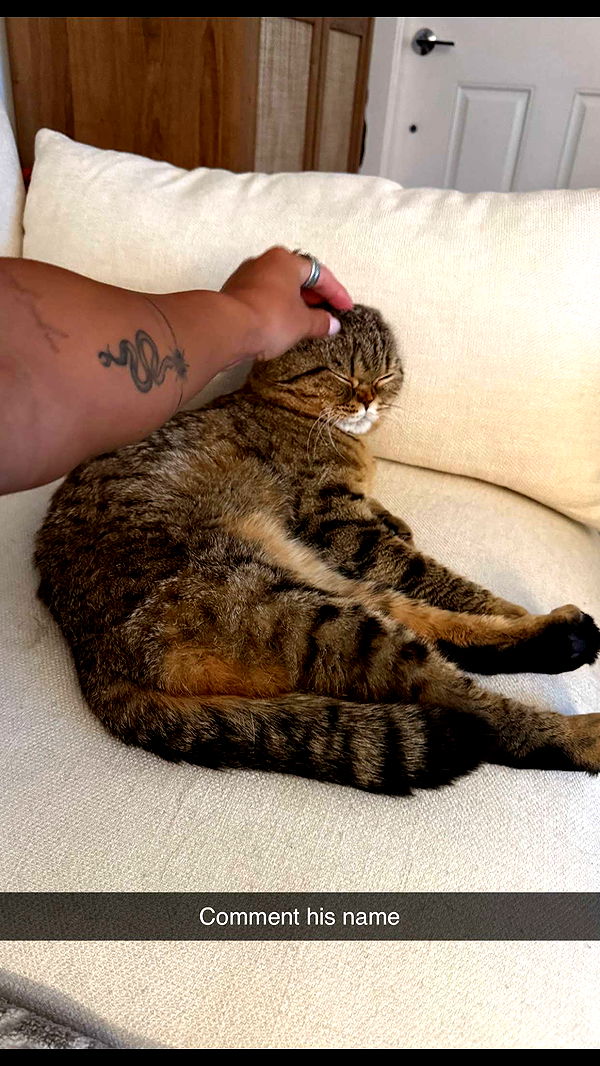 emelye.ender image ~ Altpins