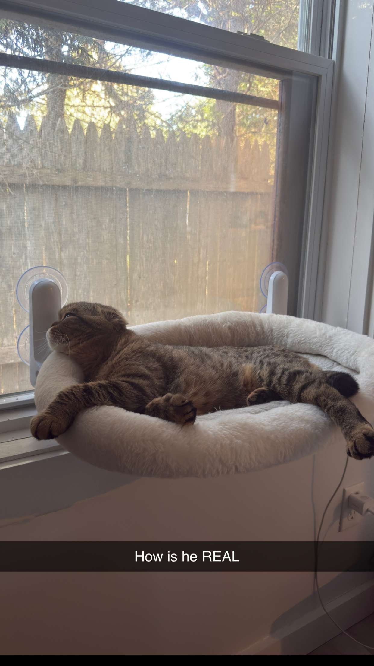 emelye.ender snapchat image archive image